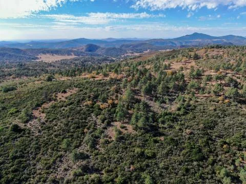 Pine Valley during dry fall season, California Stock Photos