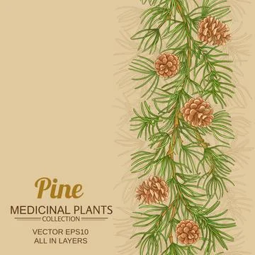 Pine vector background Illustrazione stock