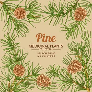 Pine vector frame Stock Illustration