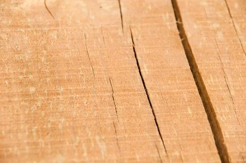 Pine wood log Stock Photos