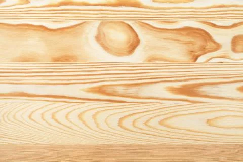 Pine wood Foto stock