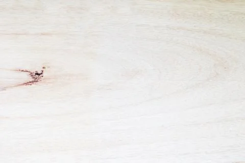 Pine Wood Texture background Stock Photos