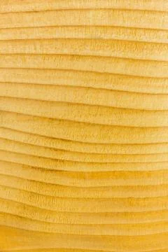 Pine wood texture Stock Photos