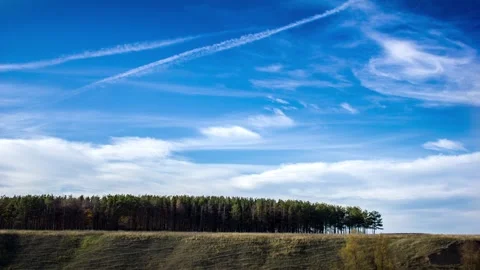 Pine Woods And Clouds In Blue Sky Timelapse Stock Footage 234786404