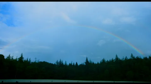 Pine woods time lapse rainbow Stock Footage 44207873