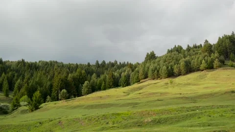 Pine woods on the top of the mountain, gathering stormclouds Stock Footage 131106956