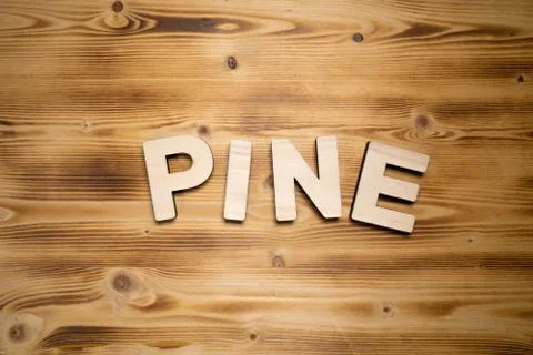 PINE word made with building blocks on wooden board Stock Photos