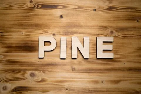 PINE word made with building blocks on wooden board 스톡 사진