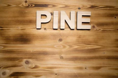 PINE word made with building blocks on wooden board Stock Photos