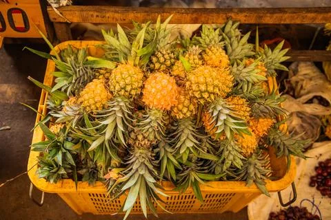 Pineaple is a tropical fruit. Stock Photos