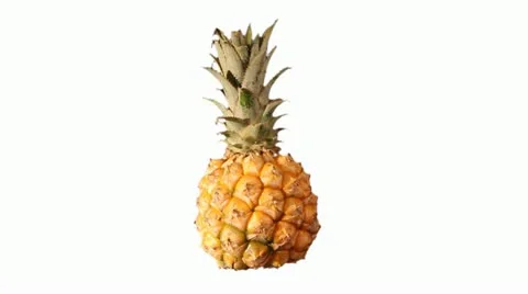 PINEAPPLE 1 Stockbeeldmateriaal 14817520