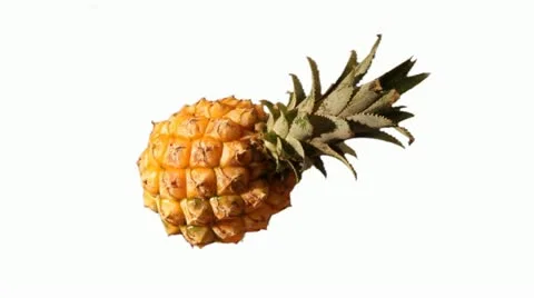 PINEAPPLE 2 Stockbeeldmateriaal 14813673