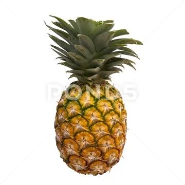 Pineapple-2 Modello PSD