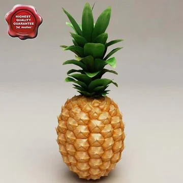 Pineapple 3D Model