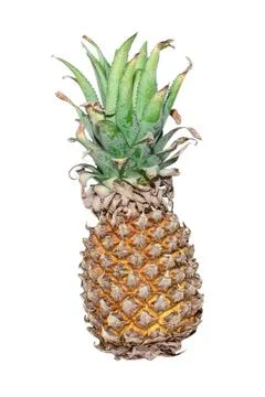 Pineapple ( Ananas comosus ) isolated on white background . Pineapple clipp.. Stock Photos