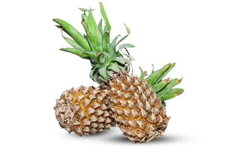 Pineapple ( Ananas comosus ) isolated on white background . Pineapple clipp.. Stock-Fotos