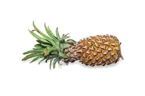 Pineapple ( Ananas comosus ) isolated on white background . Pineapple clipp.. Fotos Stock