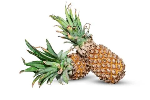 Pineapple ( Ananas comosus ) isolated on white background . Pineapple clipp.. Stock Photos