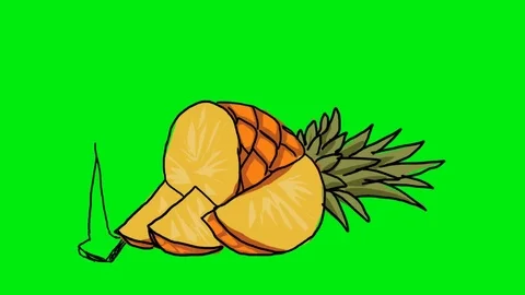 Pineapple ananas - Hand Drawn - Green Screen Stock Footage 75602081
