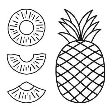 Pineapple ananas icon set collection in flat stroke outline style. Tropical.. イラスト素材