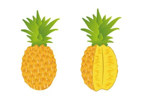 Pineapple and cuted pineapple Stock Illustration