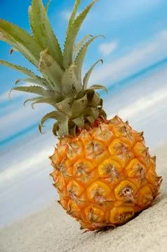 Pineapple and exotic beach Stock Photos