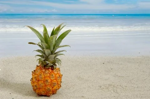 Pineapple and exotic beach Stock Photos
