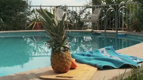 Pineapple and grapefruit in the pool 動画素材 219121636
