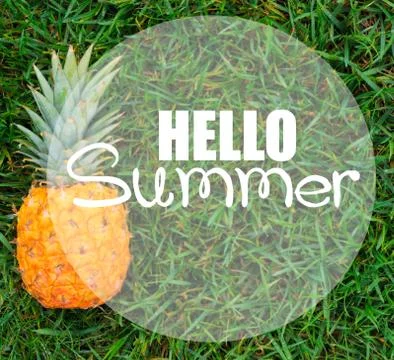 Pineapple and pool Stock Photos