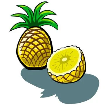 Pineapple and Slice Stock Illustration
