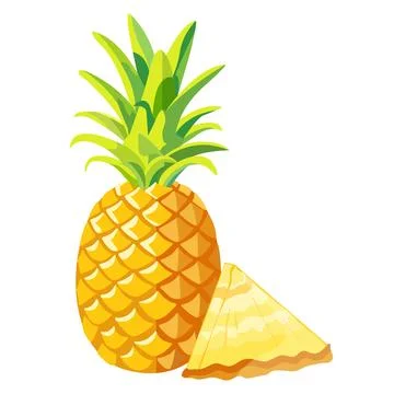 Pineapple and slice Stock Illustration