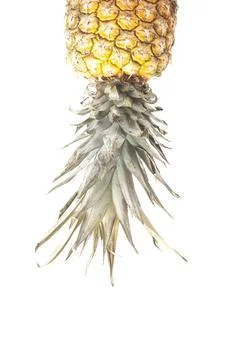 Pineapple arranged in upside down Foto stock