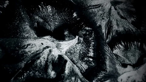 Pineapple background loop - pattern and texture - black and white Stock Footage 79829553