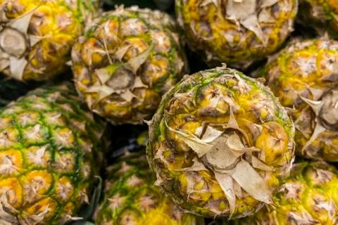 Pineapple background pattern. Stock Photos