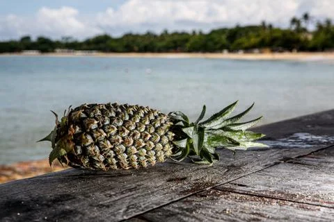 Pineapple on a beach background. Stock Photos