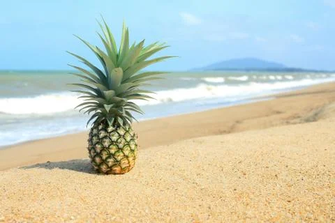 Pineapple on the beach with blue sky Stock Photos