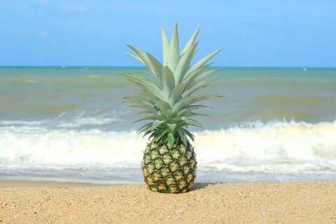 Pineapple on the beach with blue sky Stock Photos