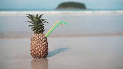 A Pineapple on the beach Stock Footage 72313319