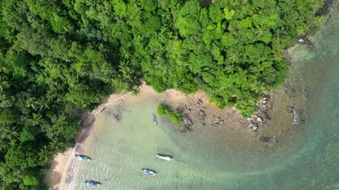 Pineapple Beach Stock Footage 317375143