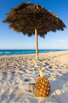 Pineapple on the beach 스톡 사진