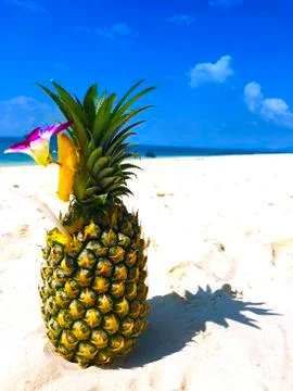 Pineapple on the beach Stock Photos