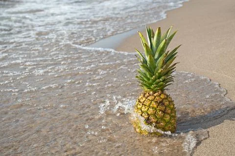 Pineapple on beach Stock Photos