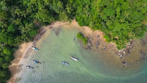Pineapple Beach Stock Photos