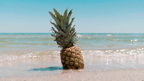 Pineapple on the beach. Pineapple fruit in the sea waves. Leisure in summer Stock Footage 134839090