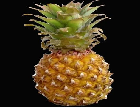 Pineapple on a black background 스톡 사진