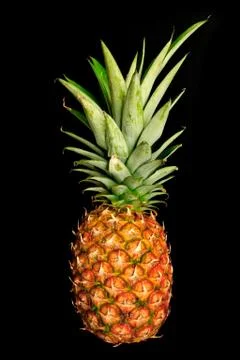 Pineapple on black Stock Photos