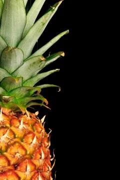 Pineapple on black Stock Photos