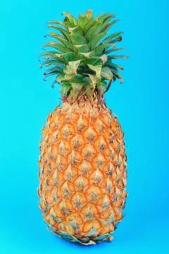 Pineapple on blue background Stock Photos