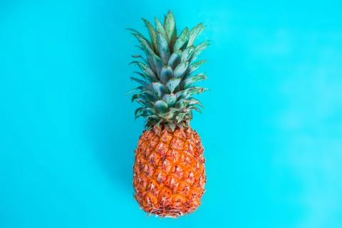 Pineapple on blue background Stock Photos
