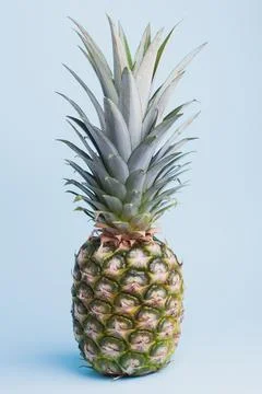 Pineapple on the blue background Stock Photos